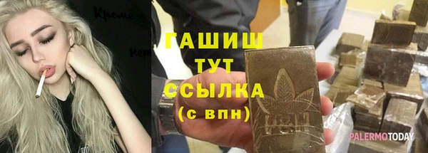 индика Володарск