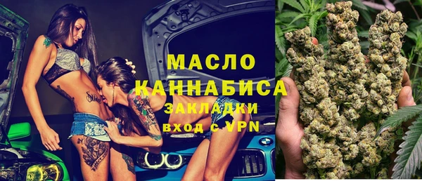 индика Володарск