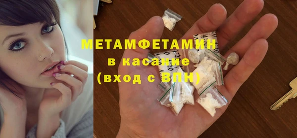 индика Володарск