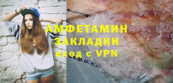 индика Володарск