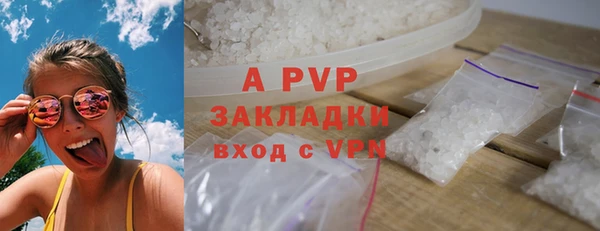 индика Володарск