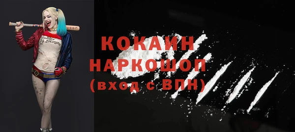 индика Володарск