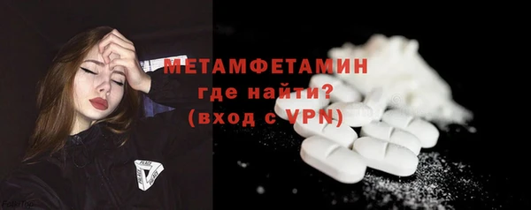 индика Володарск