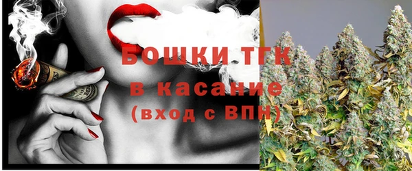 индика Володарск