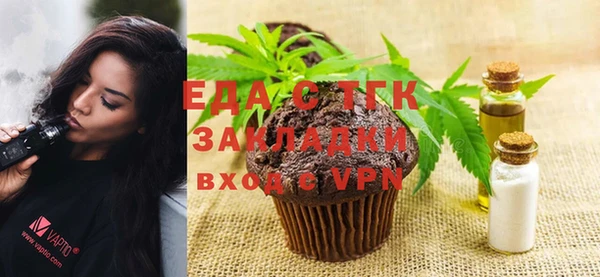 индика Володарск