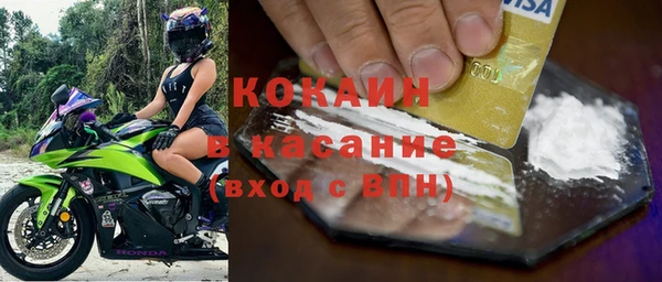 индика Володарск