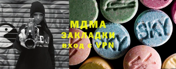 индика Володарск