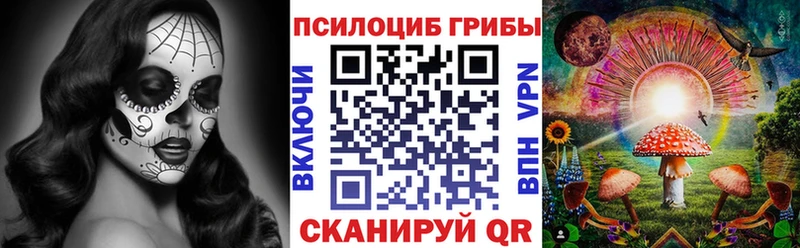 Псилоцибиновые грибы Magic Shrooms  Купить где  Богородск 